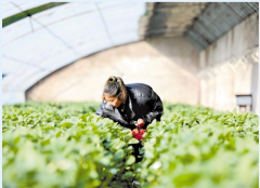  是济源聚焦新业态